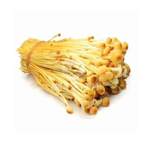 Golden Enoki Mushroom